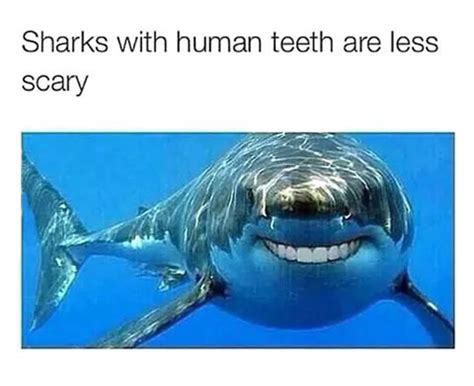 Sharks With Human Teeth