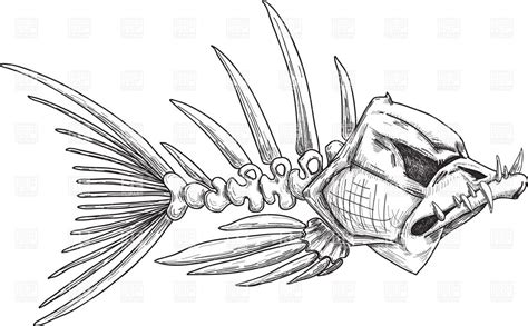 Fish Skeleton Drawing At Explore Collection Of