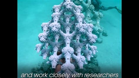 Mars Modular Artificial Reef Structure Designed By Alex Goad Youtube