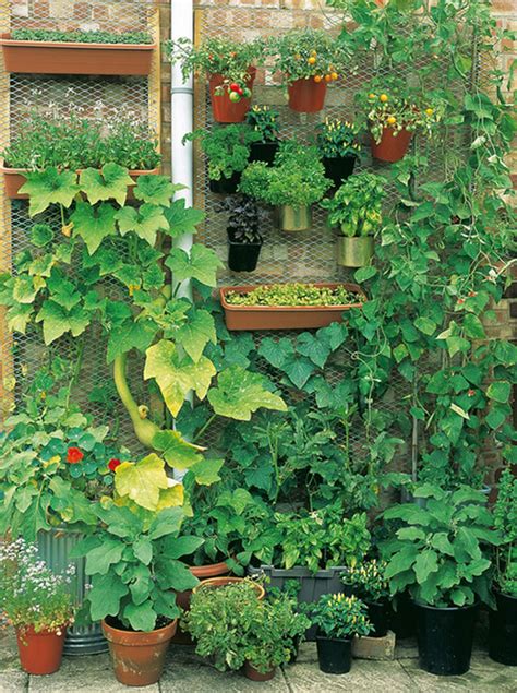Make Your Vegetable Garden Healthier With These 15 Unusual But Very