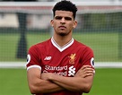 Dominic Solanke: First snaps of Liverpool signing in new kit after ...