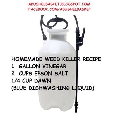 Price and stock could change after publish date, and we may make money from these. Homemade Weed Killer Recipe | Trusper