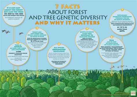 7 Interesting Facts About Why Forest And Tree Genetic Diversity Is