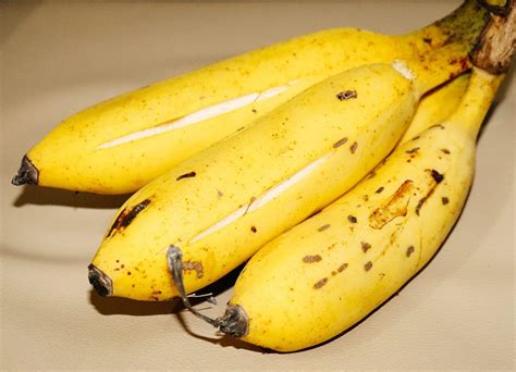 Why Bananas Split Open By Themselves Garden Betty