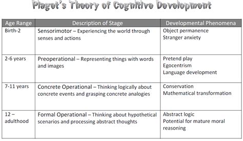 Piagets Stages Of Cognitive Development Cognitive Development