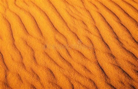 Desert Sand Background Stock Image Image Of Detail 51355681