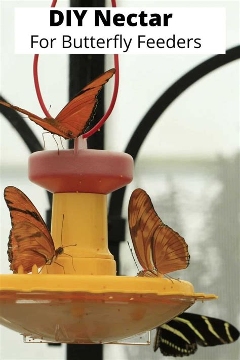 How To Make Butterfly Nectar Turning The Clock Back