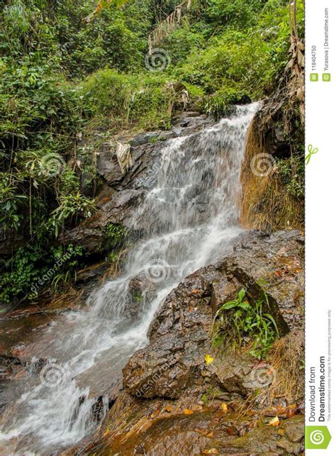 Waterfall In Green Jungle Tropical Forest Stock Photo