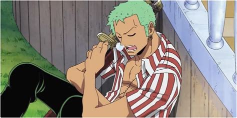 One Piece Zoro Sleeping