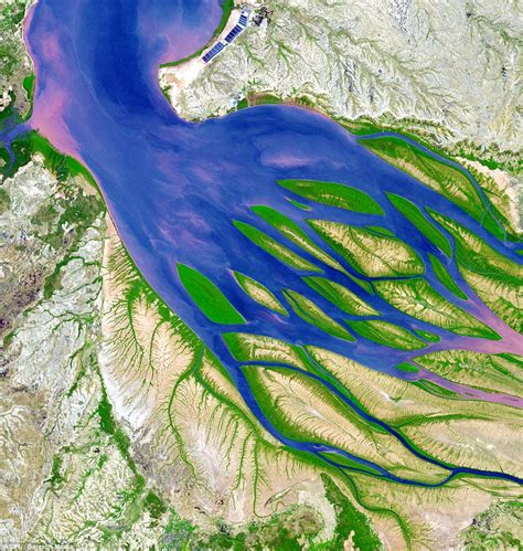 The Stunning Blood Vessels Of Our Planet How River Deltas Change Our