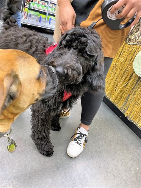 Happy Monday... - Pet Supplies Plus - Murrells Inlet, SC | Facebook