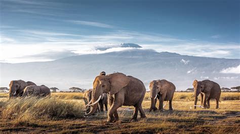 The Most Beautiful National Parks In Kenya