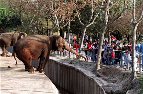 Proyecto Zoo Xxi Impulsa Un Nuevo Concepto Del Zoológico Educativo Y