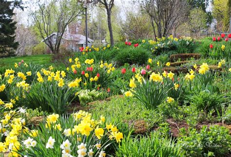 It's an outdoor classroom, a museum, and a national historic site. Aiken House & Gardens: The Winners and our Spring Garden!