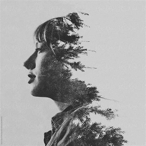 Tree Double Exposure By Stocksy Contributor Sara K Byrne Photography