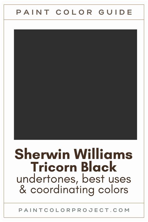 Sherwin Williams Tricorn Black A Complete Color Review The Paint