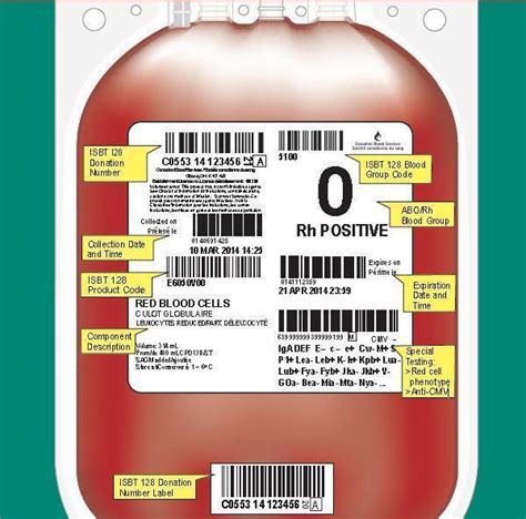 Blood Transfusion Blood Bag Label Template