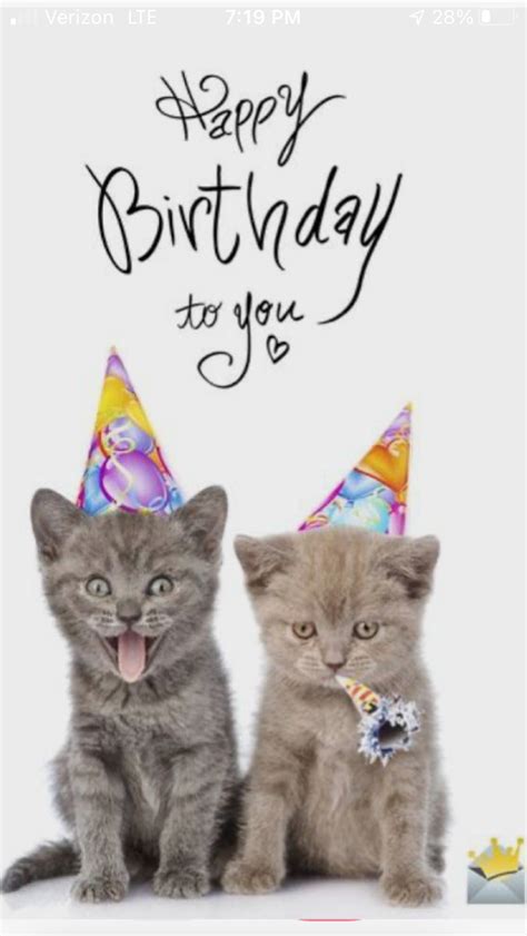 Pin By Shirley Hook On Happy Birthday Greetings Happy Birthday Cat