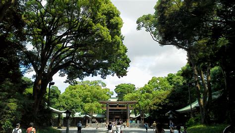 【東京散歩】明治神宮 tokyo meji jingu shrine tokyo vacation travei guide,visit japan,visit japan tokyo. 凡人の旅日記_明治神宮