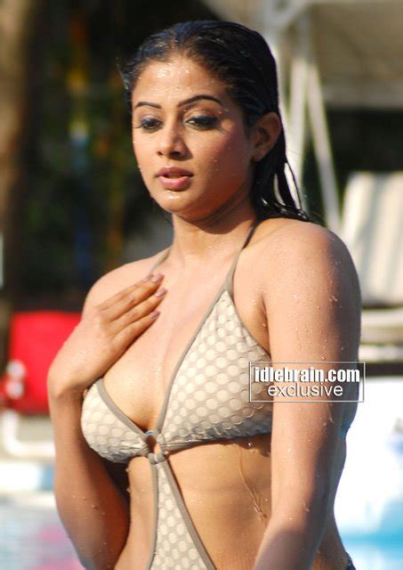 Hot And Sexy Gallery Of Malayalam Actress Hot Swim Suit Gallery Of South Indian Actress Priya Mani