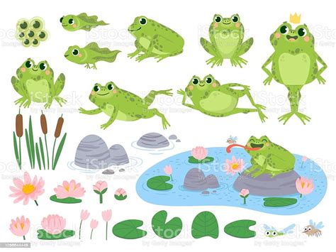 Free Download Cartoon Frogs Green Cute Frog Egg Masses Tadpole And