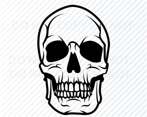 Skull SVG Human Skull Vector Images Silhouette Clip Art For Etsy Silhouette Clip Art Skull