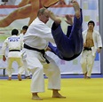 Putin judo book to be distributed to millions of Russian schoolchildren ...