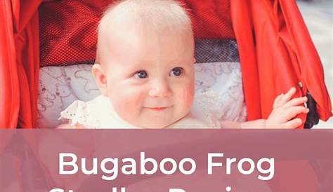 bugaboo frog manual