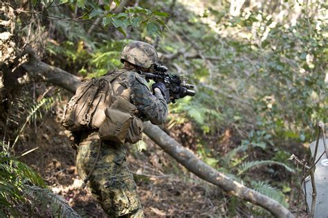 Why The Military Should Have Known Its 5 Billion Camouflage Would Fail