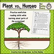 Plants vs Humans - Plant Fluency by Creative Core Integrations | TPT