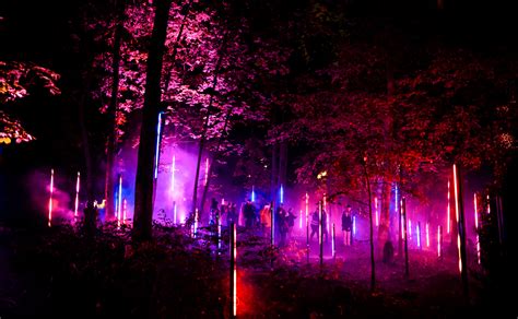 North Forest Lights Returns For A Second Season Moment Factory