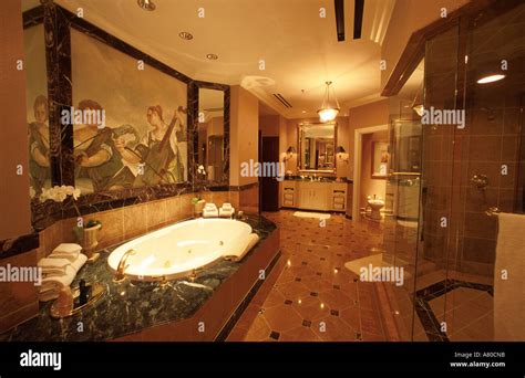 United States Nevada Las Vegas The Venetian Hotel Bathroom In One