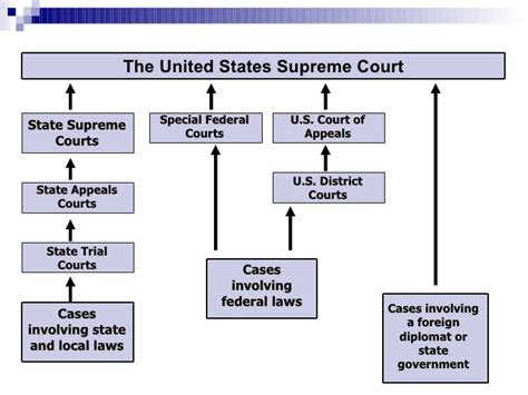 Organization Of Us Court System