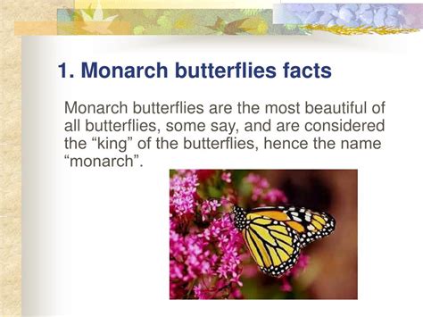 Ppt 1 Monarch Butterflies Facts Powerpoint Presentation Free