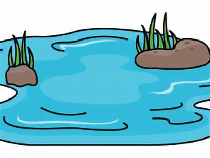 Pond Clipart Drawn Animated Draw Transparent Pinclipart