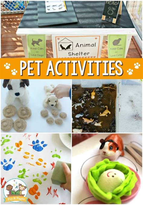 Pets Theme Activities For Preschool Preschool Activities
