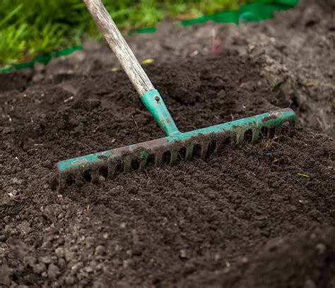 Top 10 When To Put Grass Seed Down In Spring