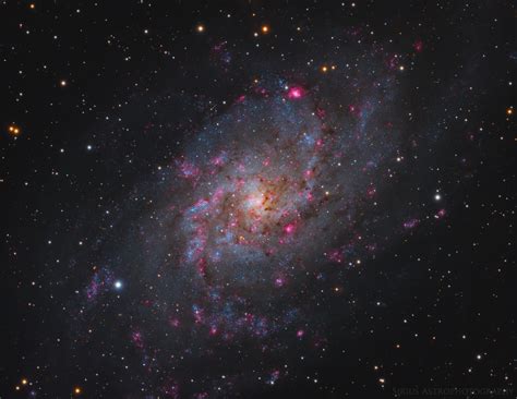M33 The Triangulum Galaxy Astrophotography