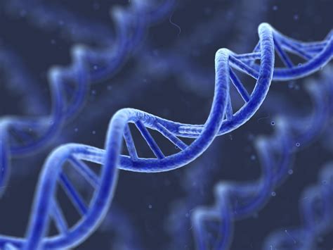 Dna Science Shows That Dna Follows Consciousness Every Thought You