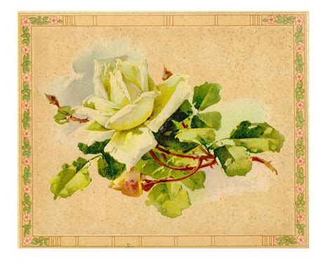 The Graphics Monarch Free Vintage Printable Bundle Flower Tag Designs