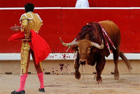 The Legacy Of Bullfighting In Spain