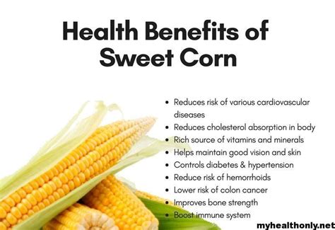 10 Tremendous Benefits Of Sweet Corn You Must To Know My Health Only