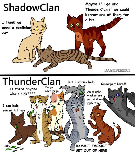 80 funny cat pictures captions will make you jump laughing. ShadowClan vs ThunderClan Medicine Cats by Silverzoul on ...