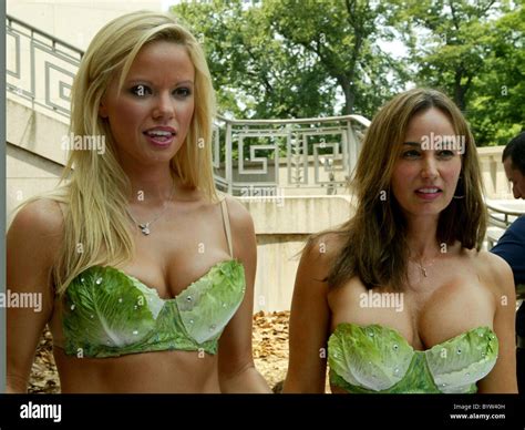 Lauren Anderson Playboy Playmate Leads Hi Res Stock Photography And Images Alamy