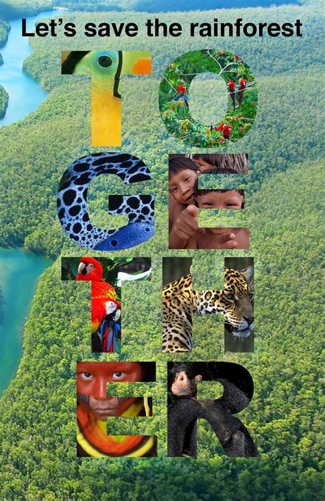 Lets Save The Rainforest Together Rainforest Project Persuasive