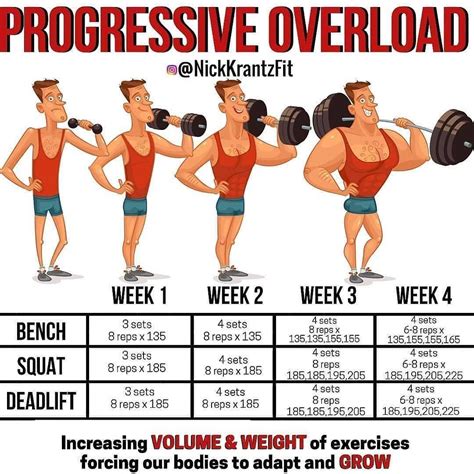 The Benefits Of Progressive Overload And Why It Is Beneficial For