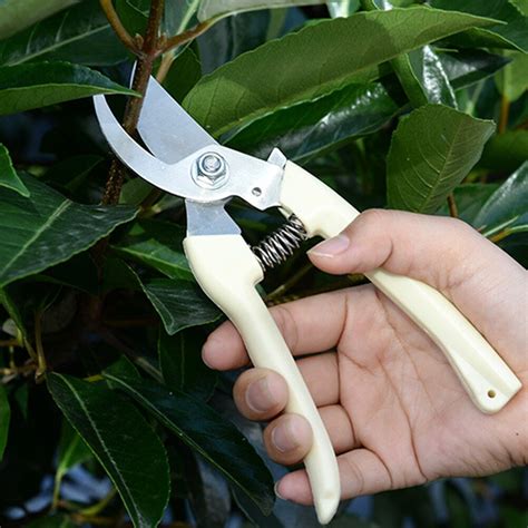 Branch Repair Gardening Scissors Used For Orchard And Garden Pruner