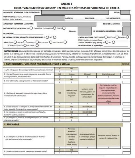 Ficha De Valoración De Riesgomedidas De Protecciónviolencia De Género