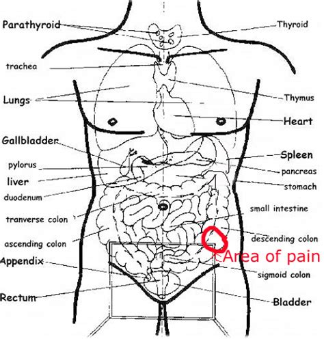 Pain Left Lower Abdominal Ask A Doctor Free Medical