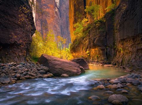 The Virgin River In Zion National Park